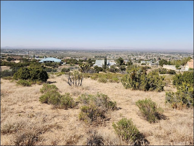 8581 Montara Rd, Pinon Hills, CA 92372 - view of nature