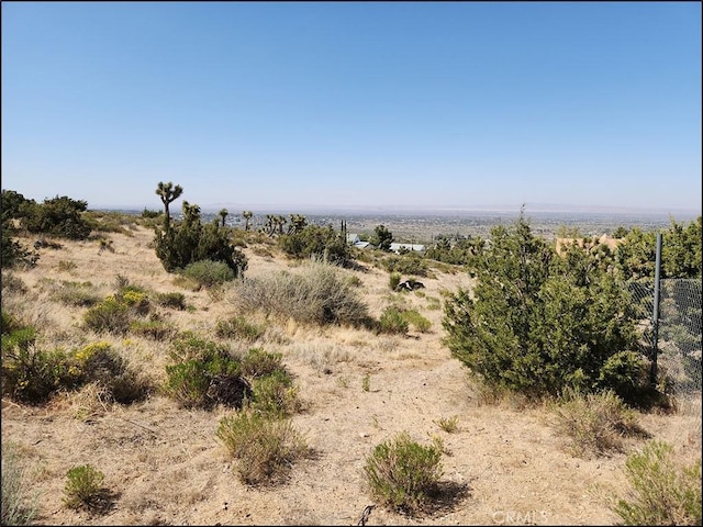 8581 Montara Rd, Pinon Hills, CA 92372 - view of landscape