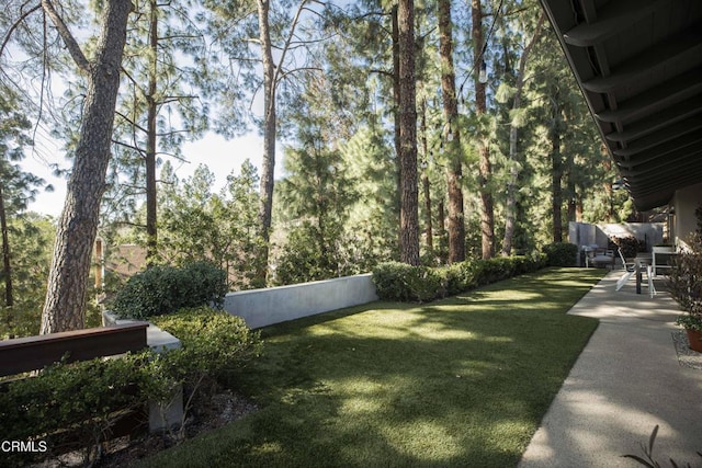 view of yard featuring fence and a patio area