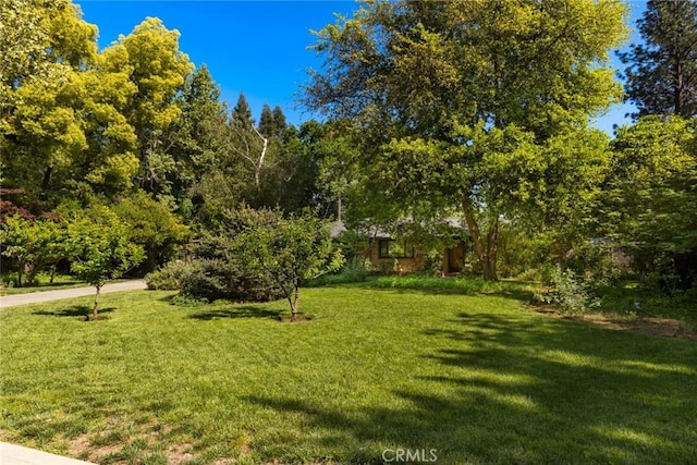 1273 E 7th St, Chico, CA 95928 - view of grassy yard