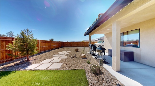 view of yard featuring a patio and a fenced backyard