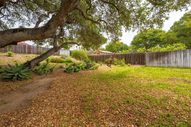 view of yard featuring a fenced backyard