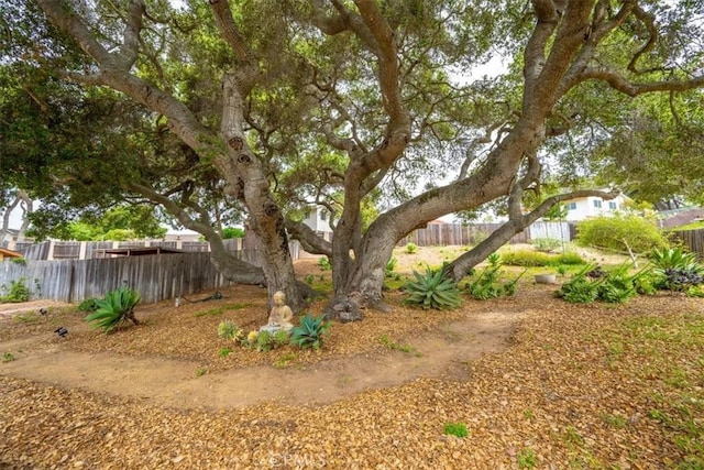 259 Saint Andrews Way, Lompoc, CA 93436 - view of fenced yard
