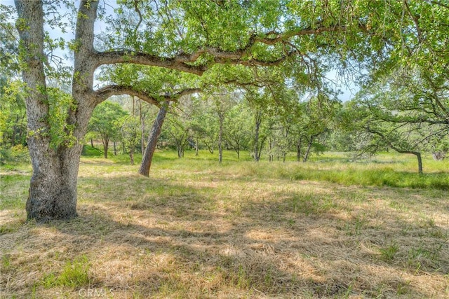 12 Linda Loma Dr, Oroville, CA 95966 - view of nature
