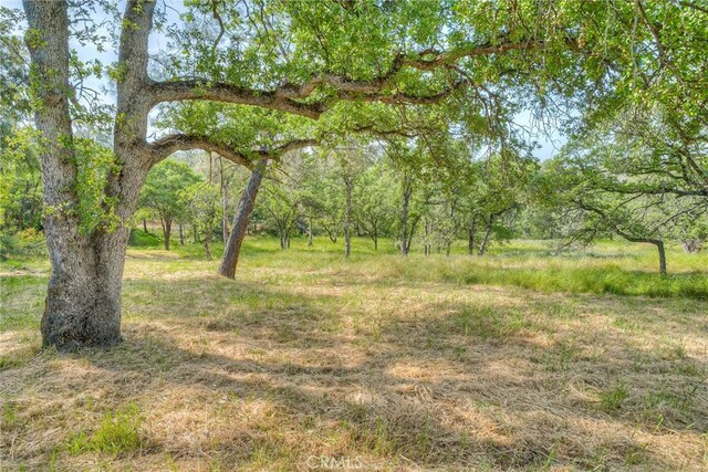 12 Linda Loma Dr, Oroville, CA 95966 - photo 38