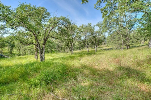 12 Linda Loma Dr, Oroville, CA 95966 - view of landscape