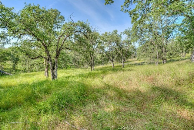 12 Linda Loma Dr, Oroville, CA 95966 - photo 37