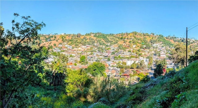 4338 Beagle St, Los Angeles, CA 90032 - view of mountain background
