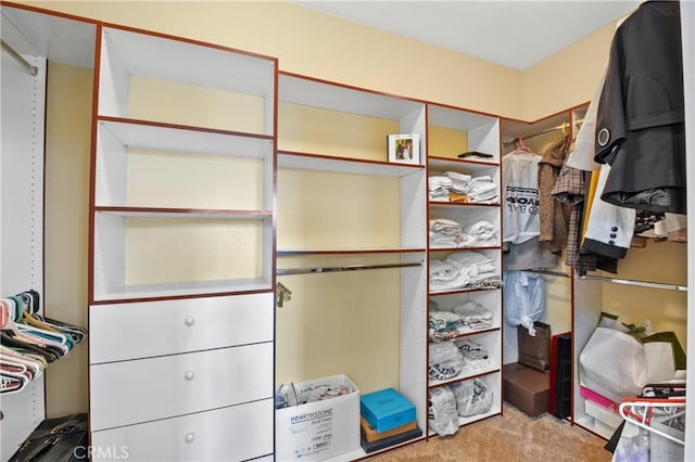 spacious closet with carpet floors