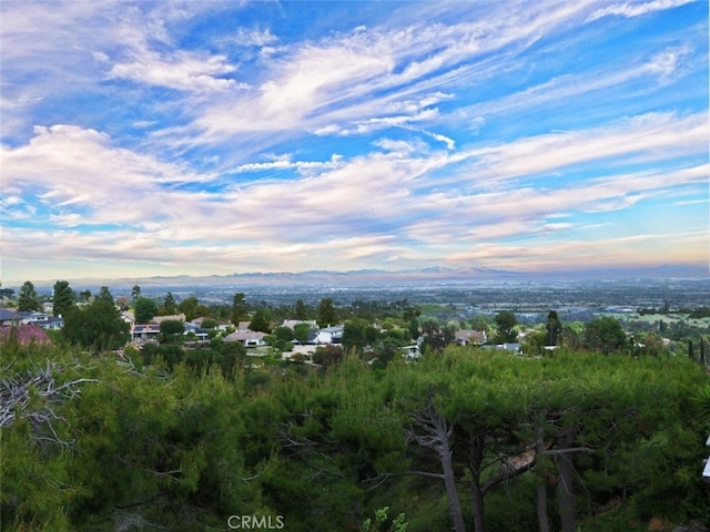 4911 Browndeer Ln, Rancho Palos Verdes, CA 90275 - mountain view