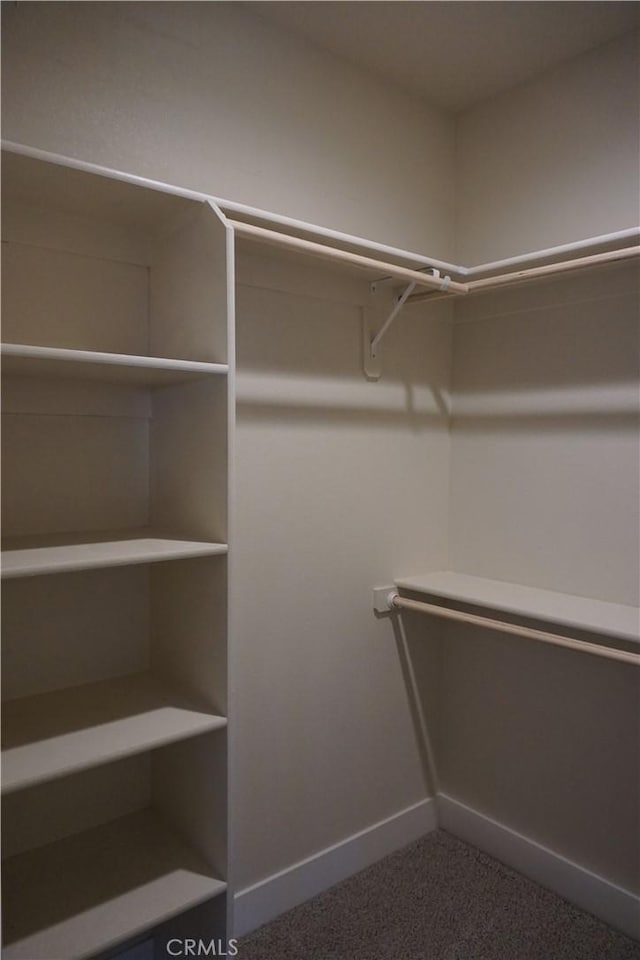 16 Petaluma Ct, Chico, CA 95926 - spacious closet with carpet
