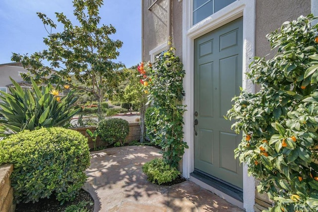 property entrance with stucco siding