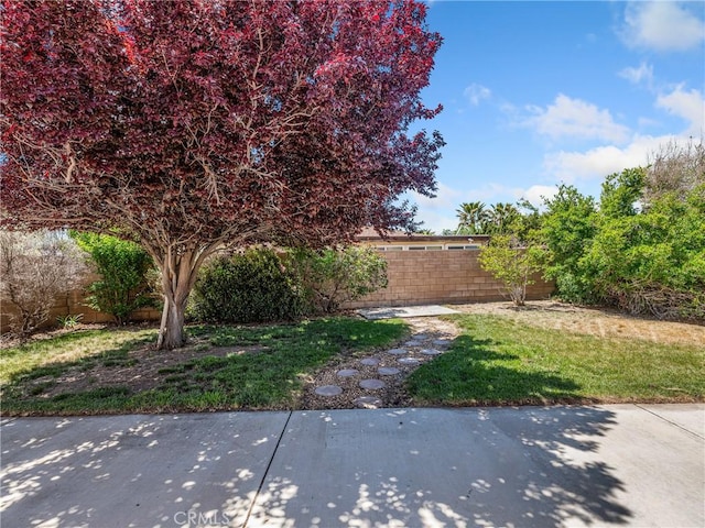 view of yard with a patio area and fence