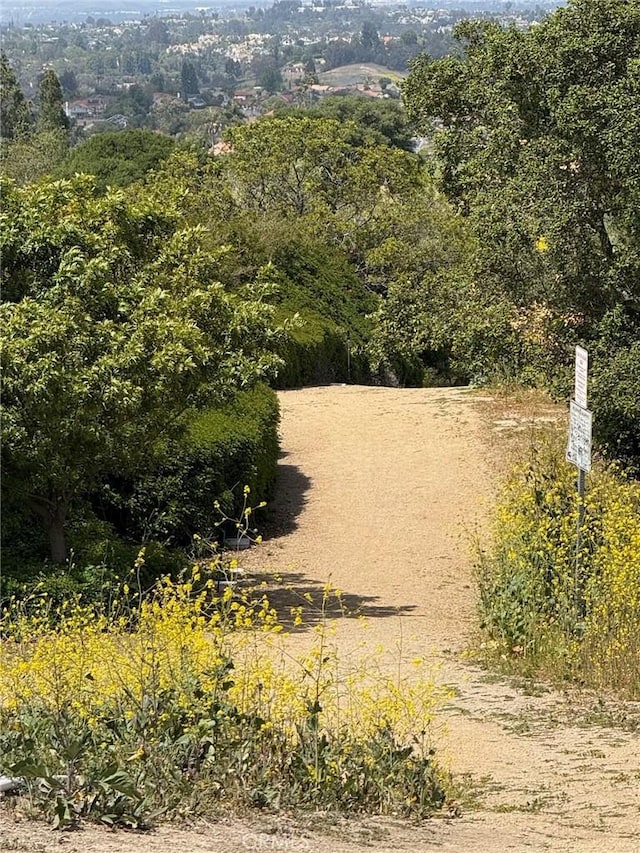 view of community with a view of trees
