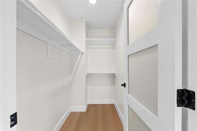 spacious closet featuring wood finished floors