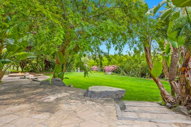 3161921 Via Puerta Del Sol, Bonsall, CA 92003 - exterior space
