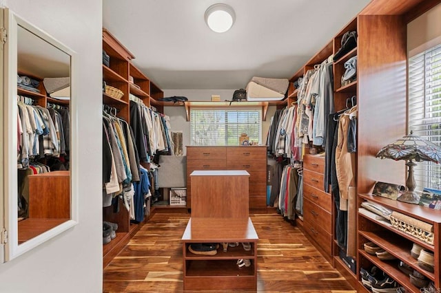 3161921 Via Puerta Del Sol, Bonsall, CA 92003 - spacious closet featuring dark wood-type flooring