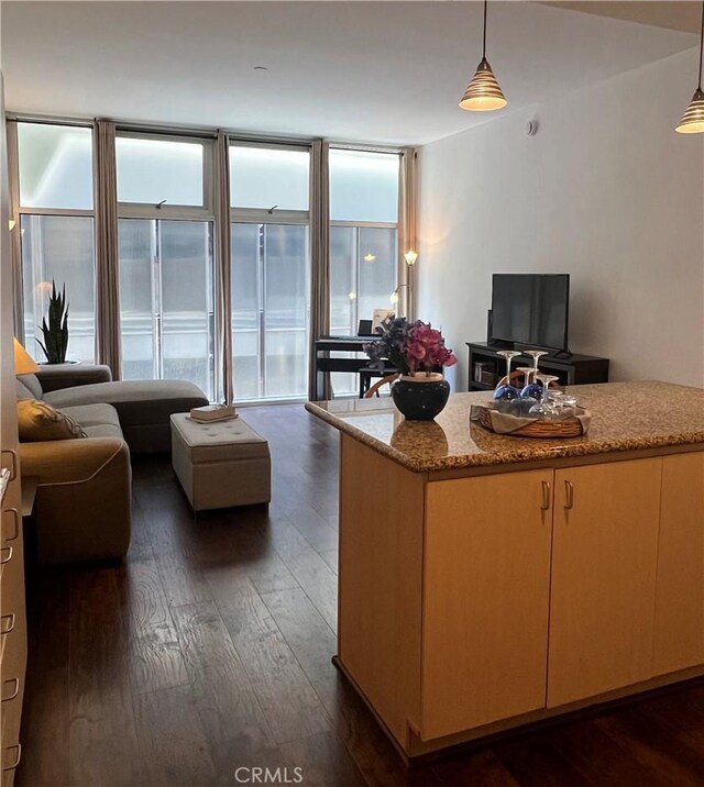 630 W 6th St Unit 611, Los Angeles, CA 90017 - living room featuring dark wood-type flooring and plenty of natural light