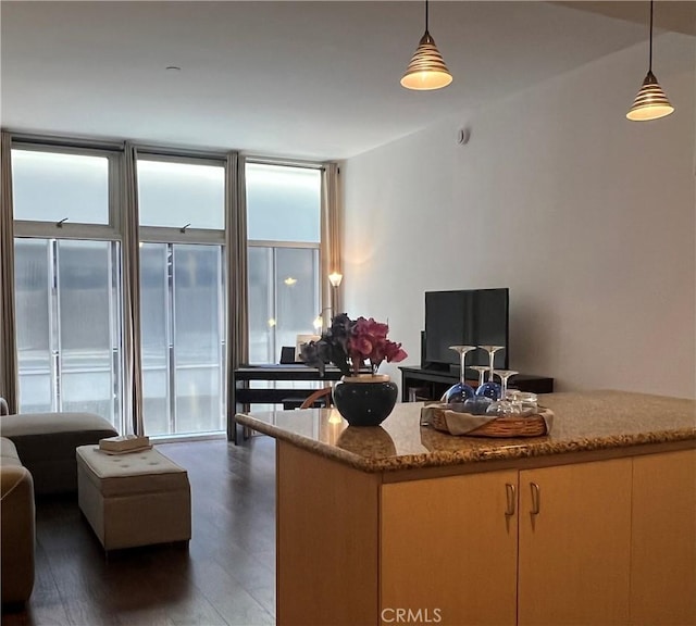 630 W 6th St Unit 611, Los Angeles, CA 90017 - living room with plenty of natural light and wood finished floors