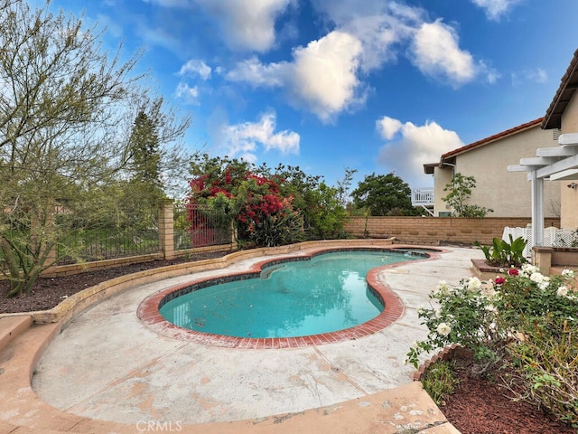 view of swimming pool with a fenced backyard, a fenced in pool, and a patio area