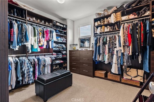 21609 Lucas Ct, Saugus, CA 91390 - spacious closet with carpet