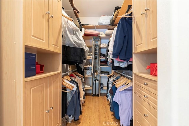walk in closet with light wood finished floors