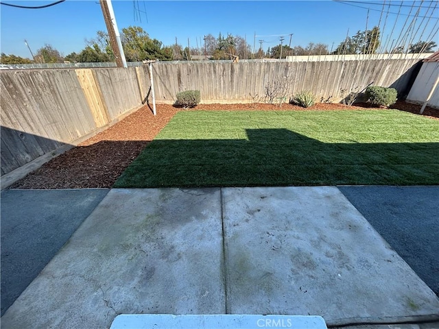 view of yard with a patio and a fenced backyard