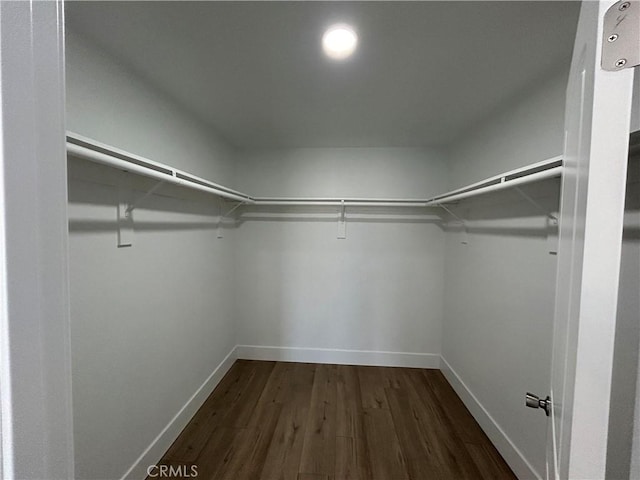 spacious closet with dark wood-type flooring