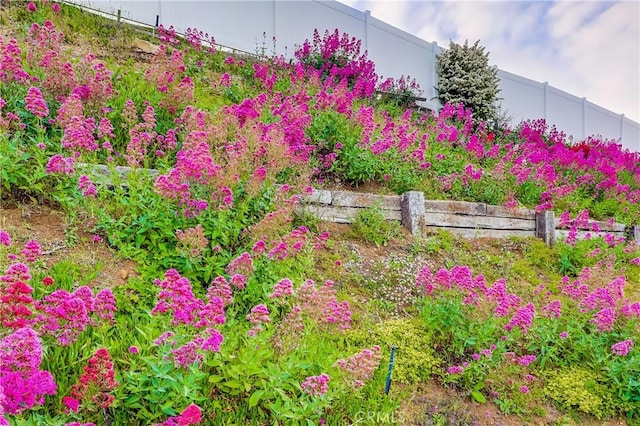 2978 Crownview Dr, Rancho Palos Verdes, CA 90275 - view of yard