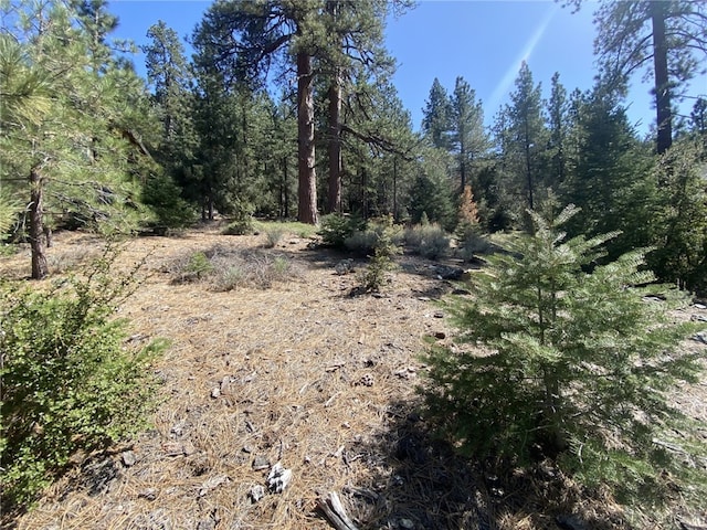 15028 Chestnut Ct, Pine Mountain Club, CA 93222