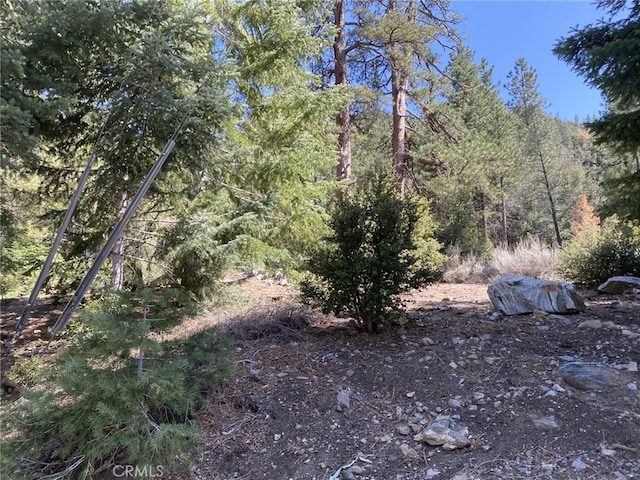 15028 Chestnut Ct, Pine Mountain Club, CA 93222