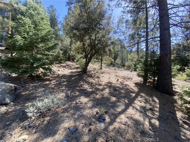 15028 Chestnut Ct, Pine Mountain Club, CA 93222