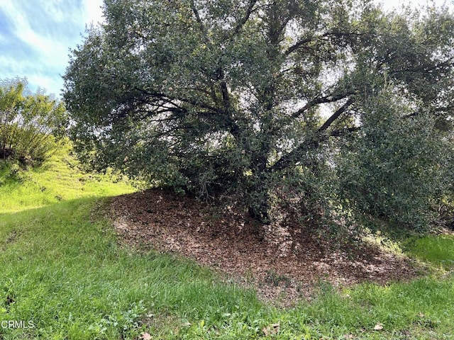 190 Sycamore Ln, Bradbury, CA 91008