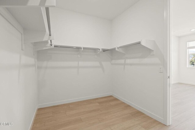 spacious closet featuring light wood-style flooring