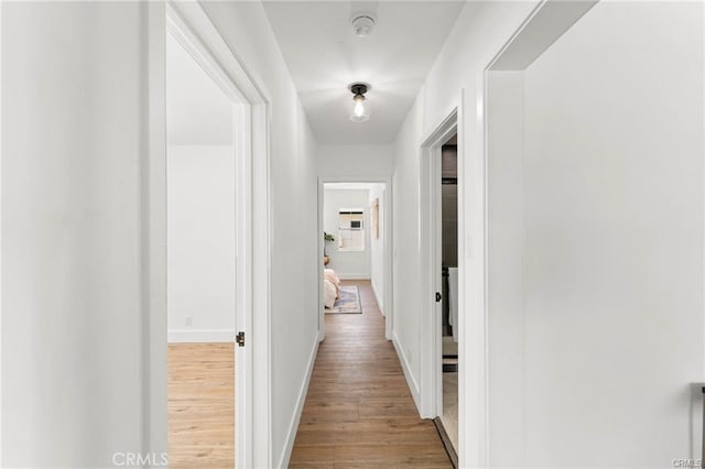 11445 Saticoy St, North Hollywood, CA 91605 - hall with wood finished floors and baseboards