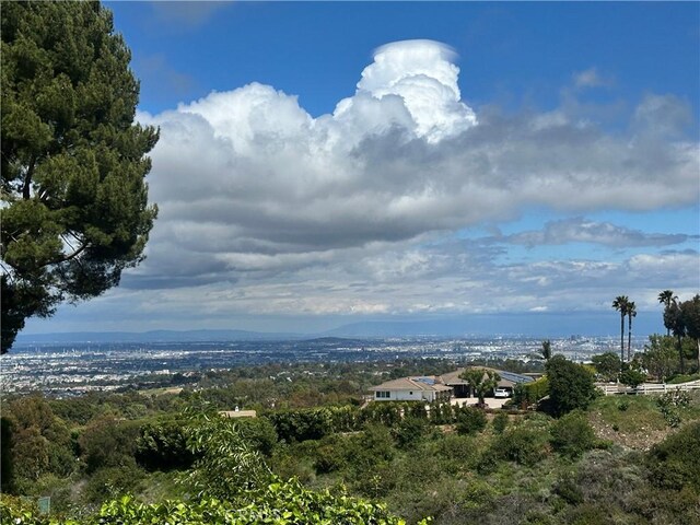 27064 Sunnyridge Rd, Palos Verdes Peninsula, CA 90274 - photo 4