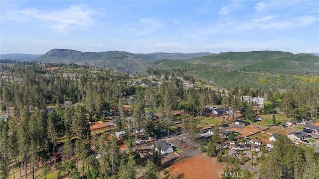 birds eye view of property featuring a mountain view