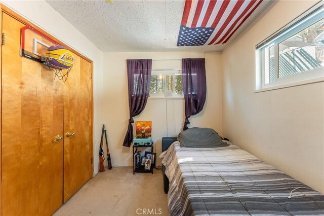 25661 Mid Ln, Twin Peaks, CA 92391 - photo 14