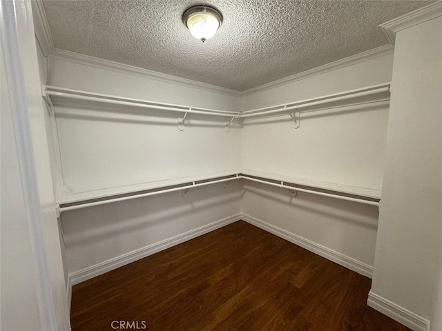 spacious closet with dark wood-type flooring