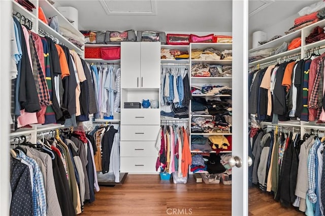 20704 Campania Ln, Porter Ranch, CA 91326 - spacious closet featuring attic access and wood finished floors