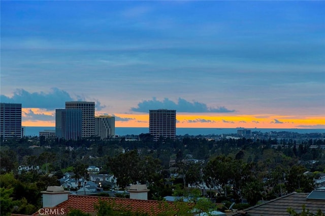 property's view of city