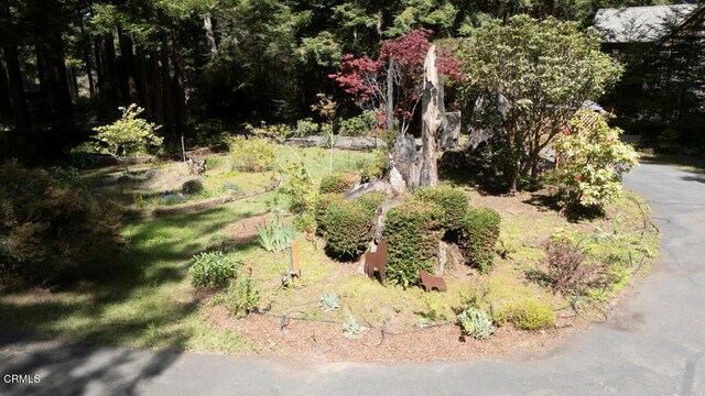 12141 Pinewood Rd, Mendocino, CA 95460 - photo 36