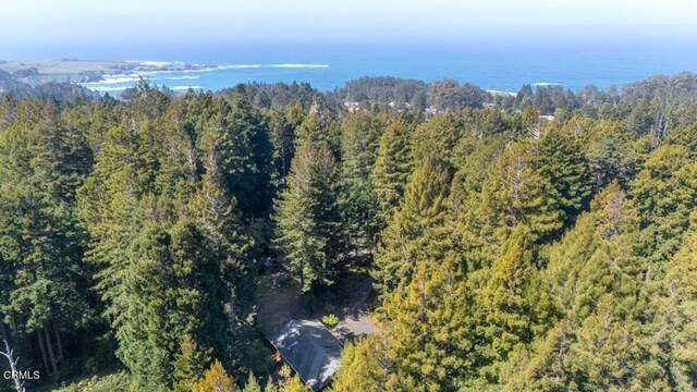 12141 Pinewood Rd, Mendocino, CA 95460 - photo 42
