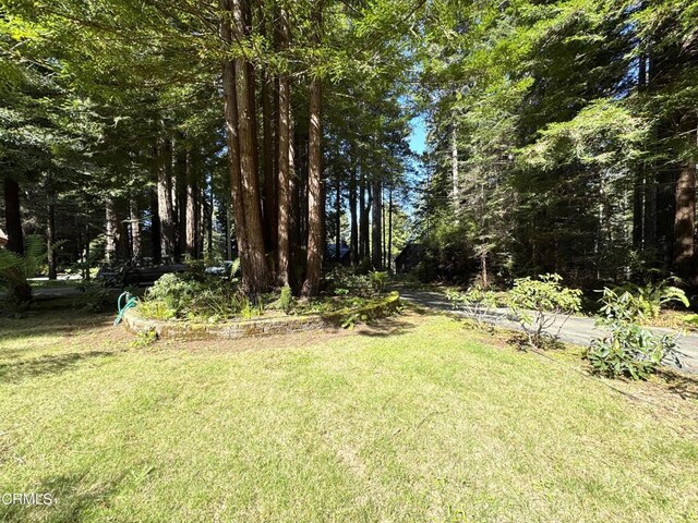 12141 Pinewood Rd, Mendocino, CA 95460 - photo 40
