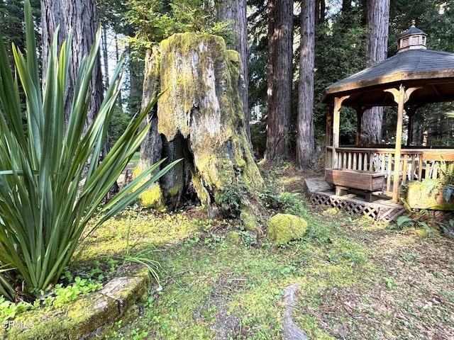 12141 Pinewood Rd, Mendocino, CA 95460 - photo 32