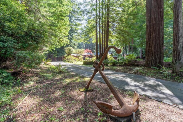 12141 Pinewood Rd, Mendocino, CA 95460 - photo 29