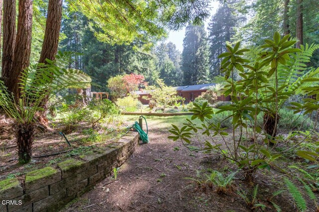12141 Pinewood Rd, Mendocino, CA 95460 - photo 38