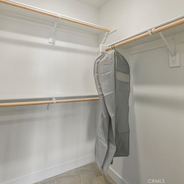 spacious closet with carpet floors