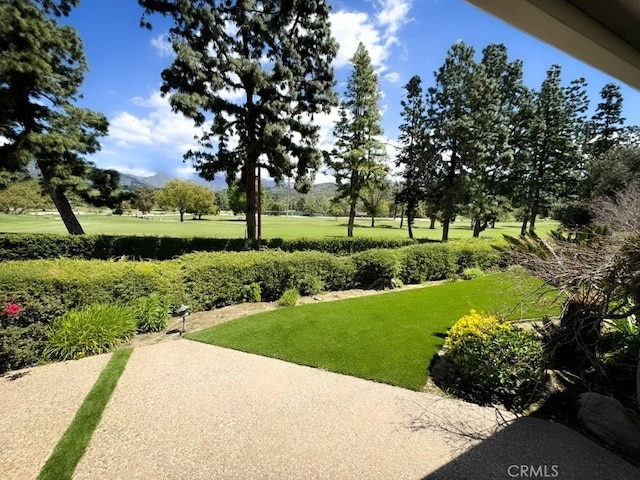 view of community with a mountain view and a yard