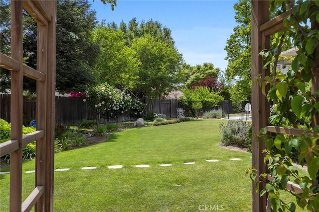 view of yard with a fenced backyard